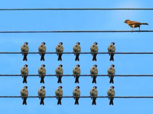 be a leader