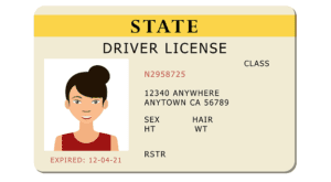 example drivers license