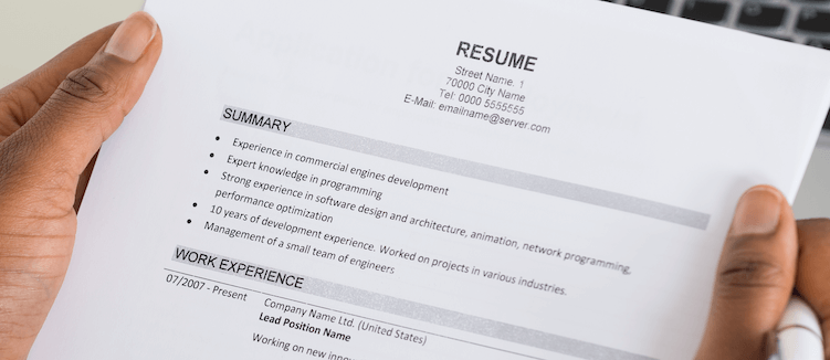 Resume summary section example