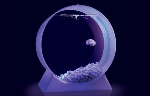 Jellyfish_Aquarium