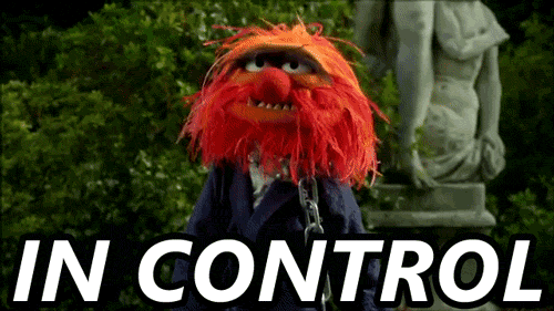 muppet in control
